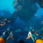 subnautica 2 2024101720192577_1 3JNVh9 85x85